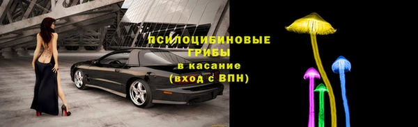 трава Алзамай