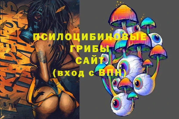 Альфа ПВП Абаза