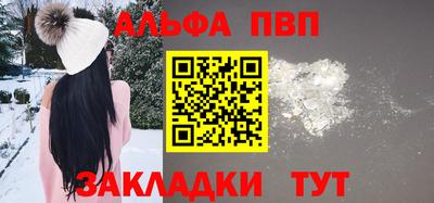 шишки Лесосибирск