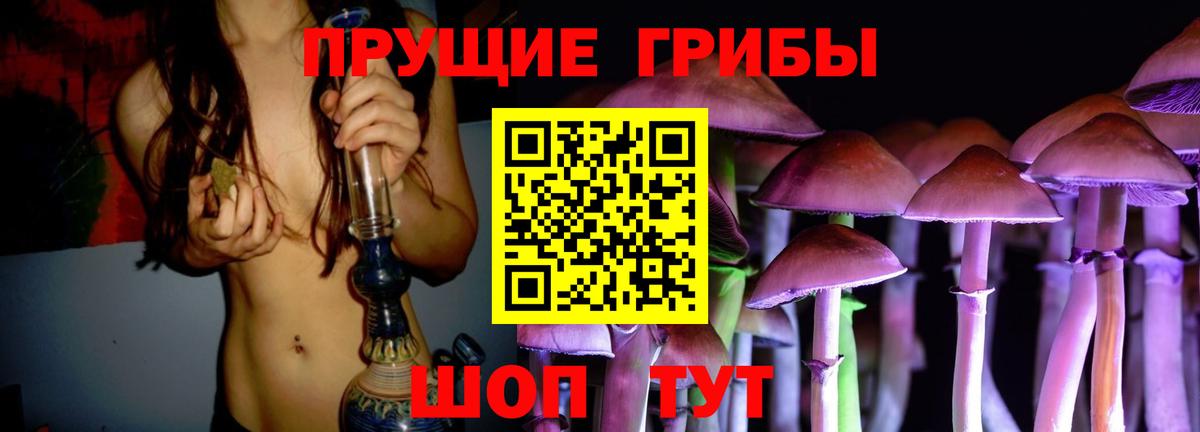 Галлюциногенные грибы прущие грибы  Вход с VPN  Псилоцибиновые грибы Psilocybe  купить закладку  Зеленокумск 