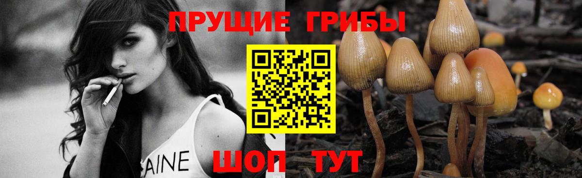 Псилоцибиновые грибы мухоморы Зеленокумск